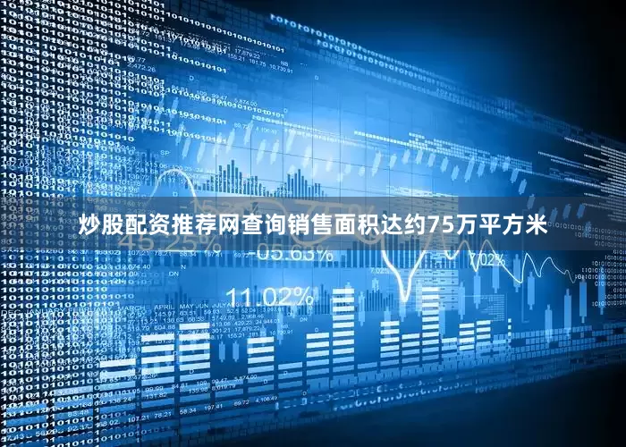 炒股配资推荐网查询销售面积达约75万平方米